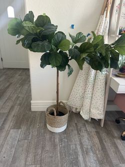 House decor