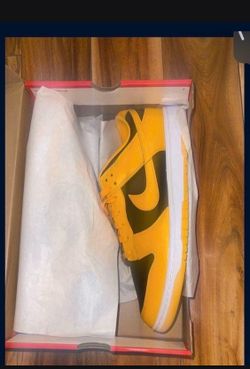 Nike Dunk Low. Size 14