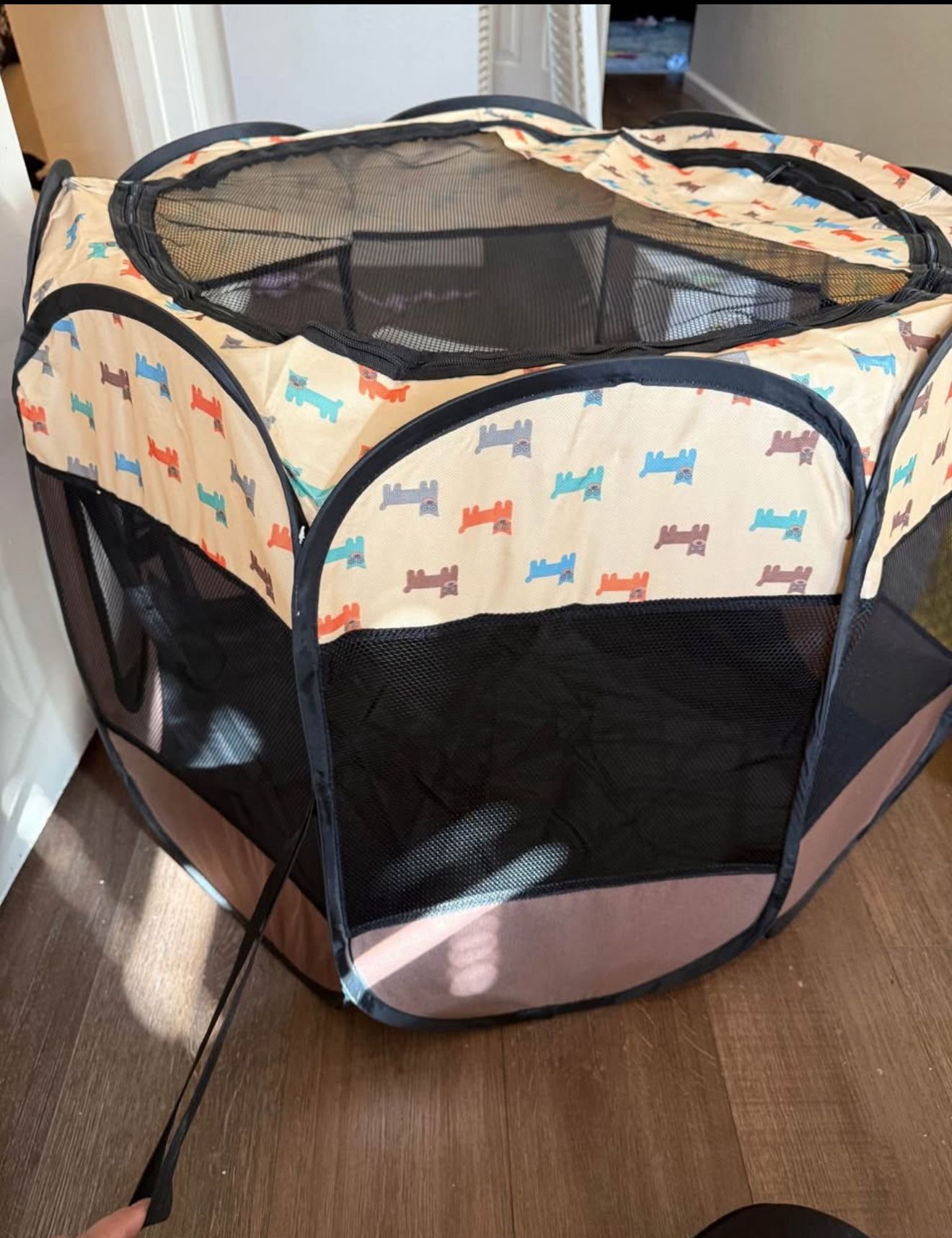 Cat House
