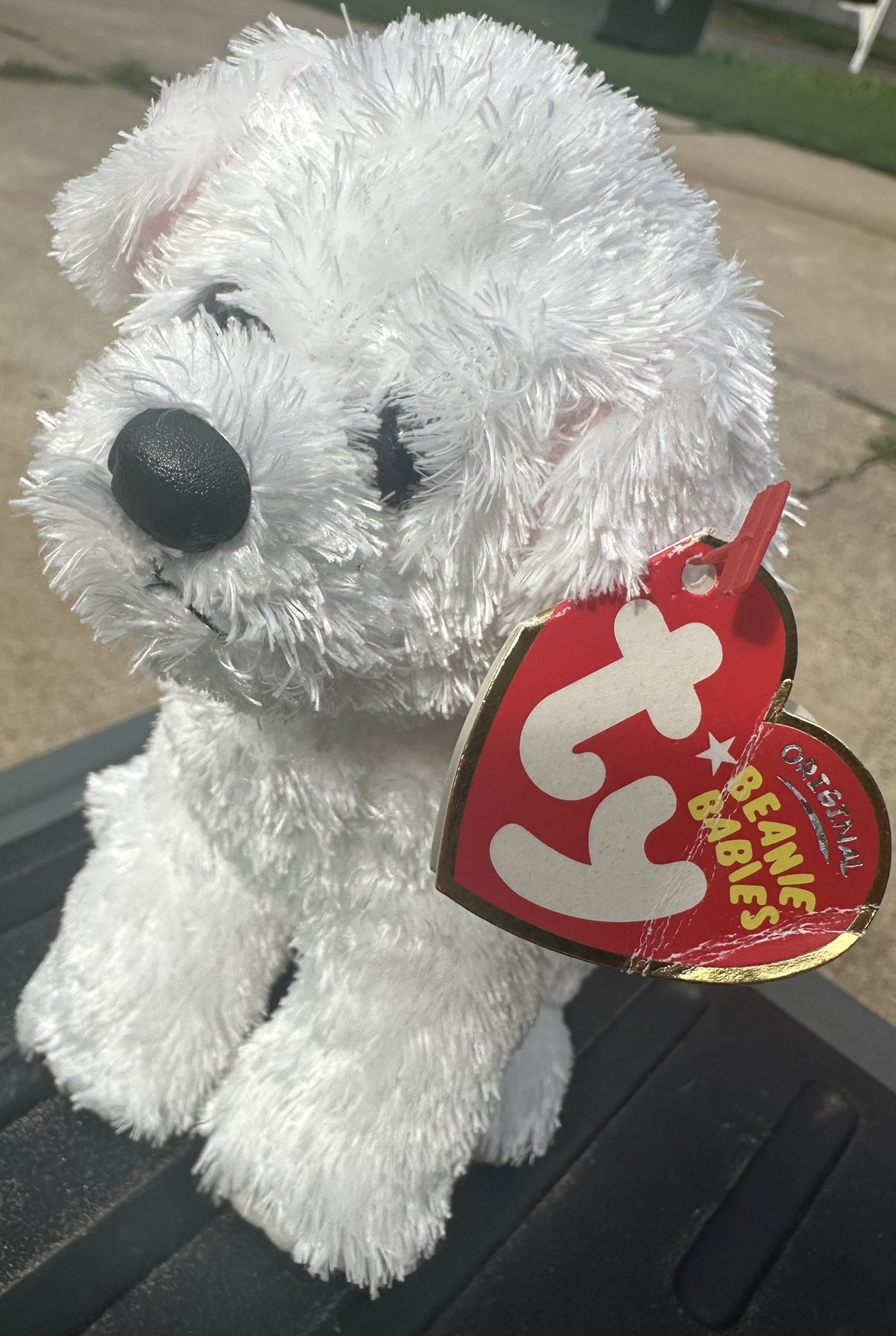 Ty Beanie Baby: Cargo the Dog | Stuffed Animal