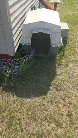 Dog House