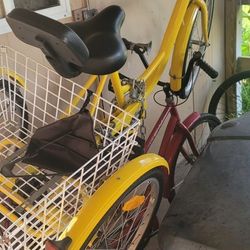 Two tricycles for 100 dollars
