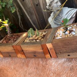 Cactus In Redwood Planter 5.5 X 4.5 X  3 Tall. Price Is For Each.
