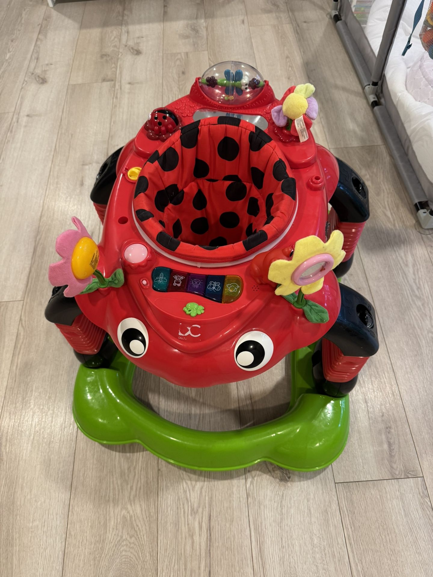 Lady Bug Baby