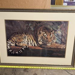 Framed Tiger Wall Decor 42.5”x31”