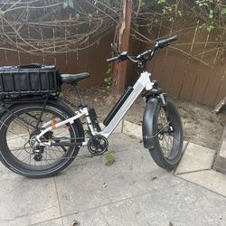 RadRover 6 Plus Step-thru (e-bike/electric bike)