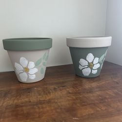 Green And Beige Flower Pots 