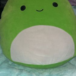 Turtle Squishmellow