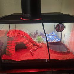 Good Size Tank 