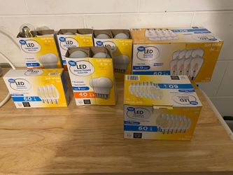 Great Value LED Light Bulbs (Mostly White)