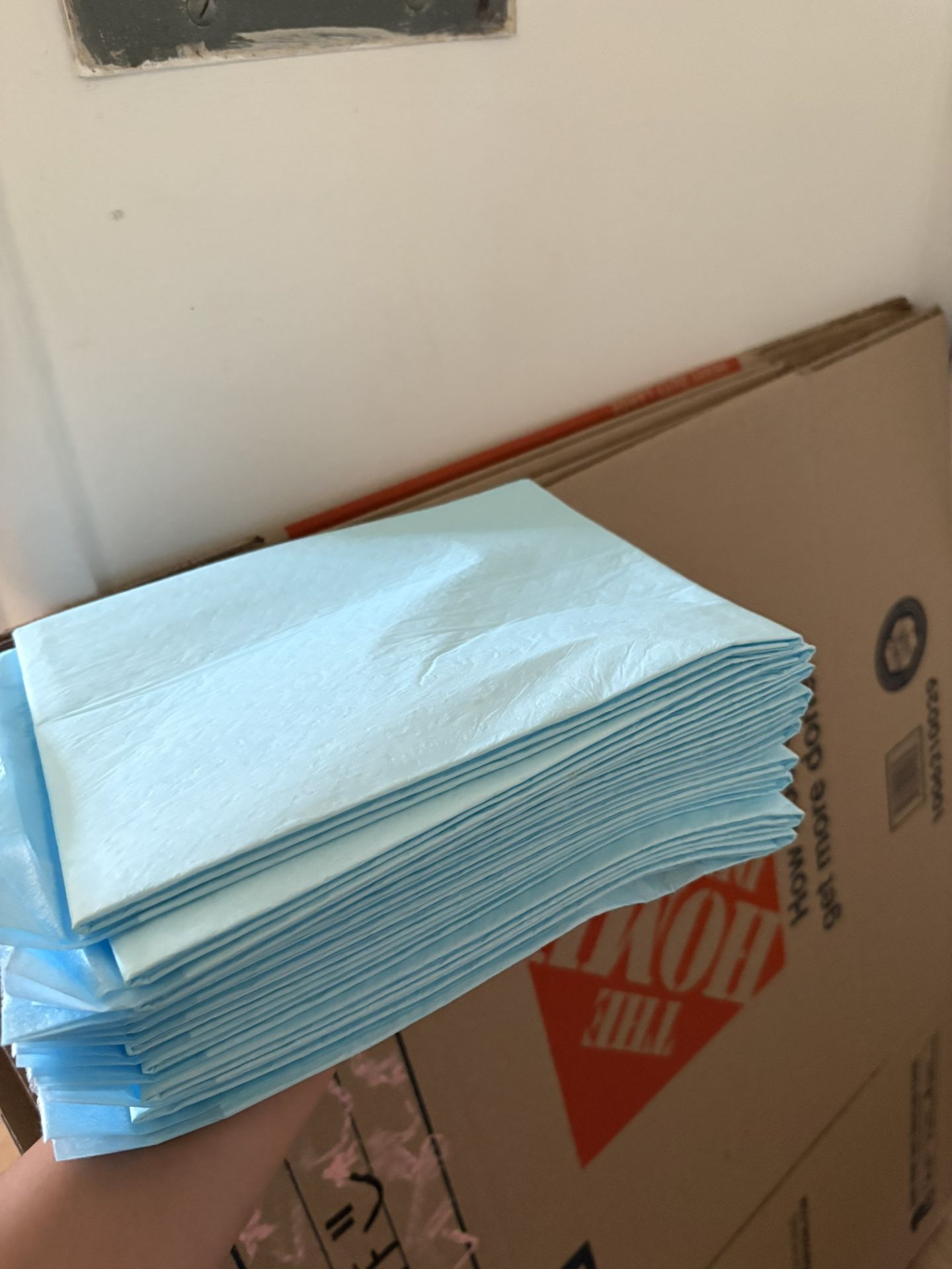 Dog Pads