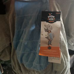 New Dinosaur 🦕 Costume