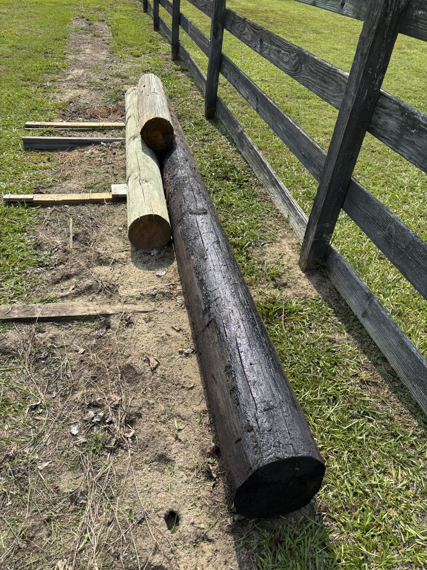 Telephone Poles
