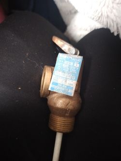 Watts Regulator 100XL Blue Ribbon Temperature and Pressure Relief Valve 