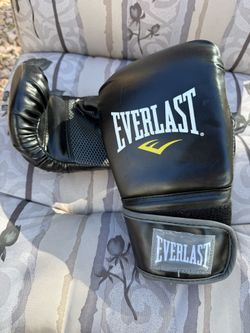 Everlast Sparring Gloves