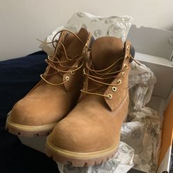 Brand New Timberland 