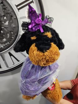New Halloween Big Dog