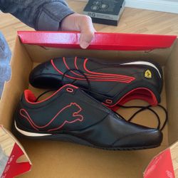 Pumaxferrari Collab Shoes