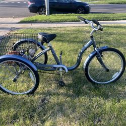 24" Meridian Adult Trike