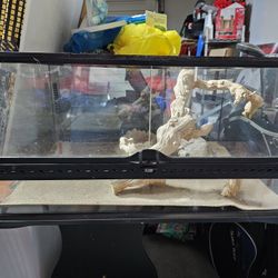Lizard Enclosure