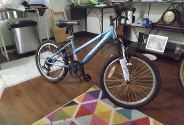 Mountain Bike