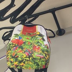 SprayGround Bookbag 