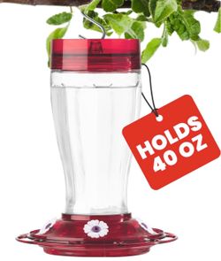 More Birds Bird Health+ Big Gulp Hummingbird Feeder, Glass Hummingbird Feeders for Outdoors, 5 Feeding Stations, 40 Ounces