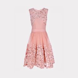 MAJE Embroidered Blush Midi Dress Size 0