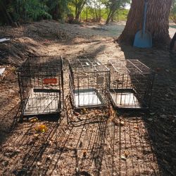 Pets Carrier 