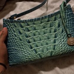 Brahmin Purse 