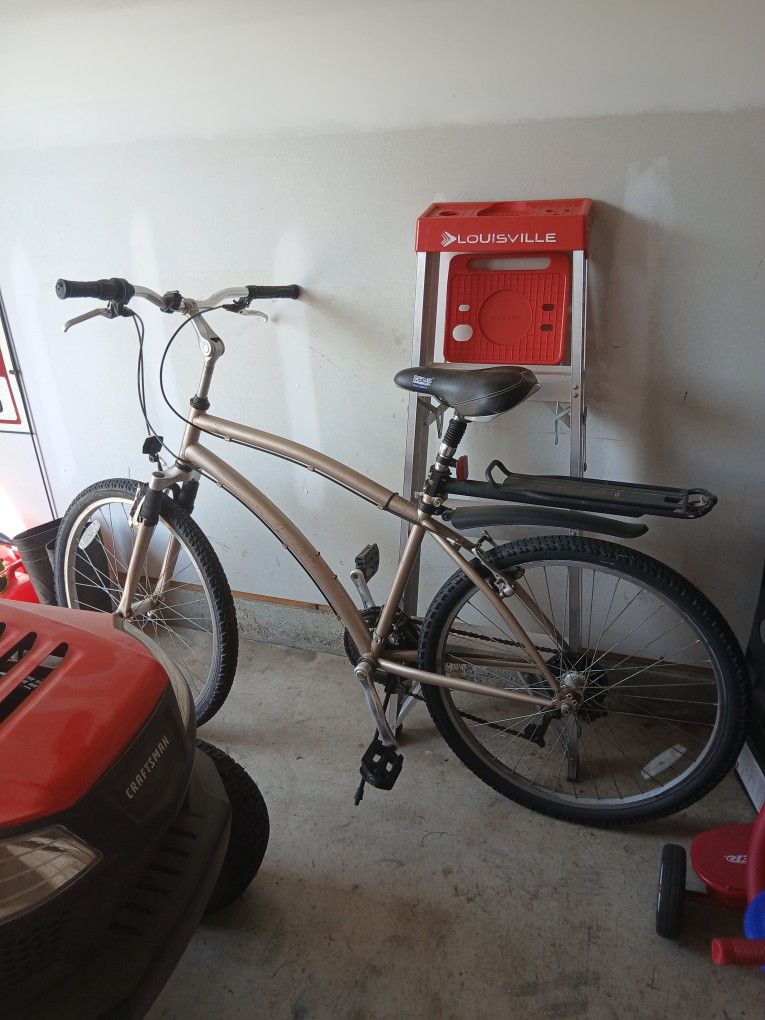 Adult Bike