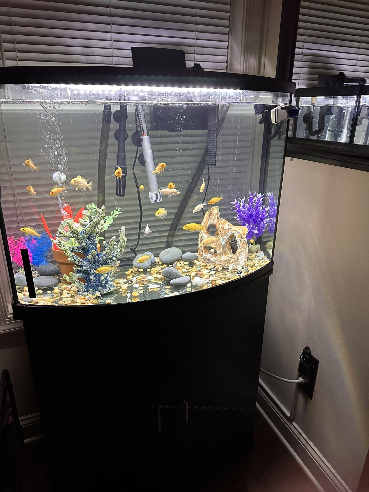 36 Gallon Tank With Stand Bundles