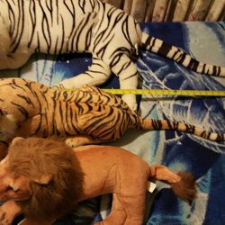 white Tiger, tiger, (read description)