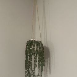 2 Faux Plants 