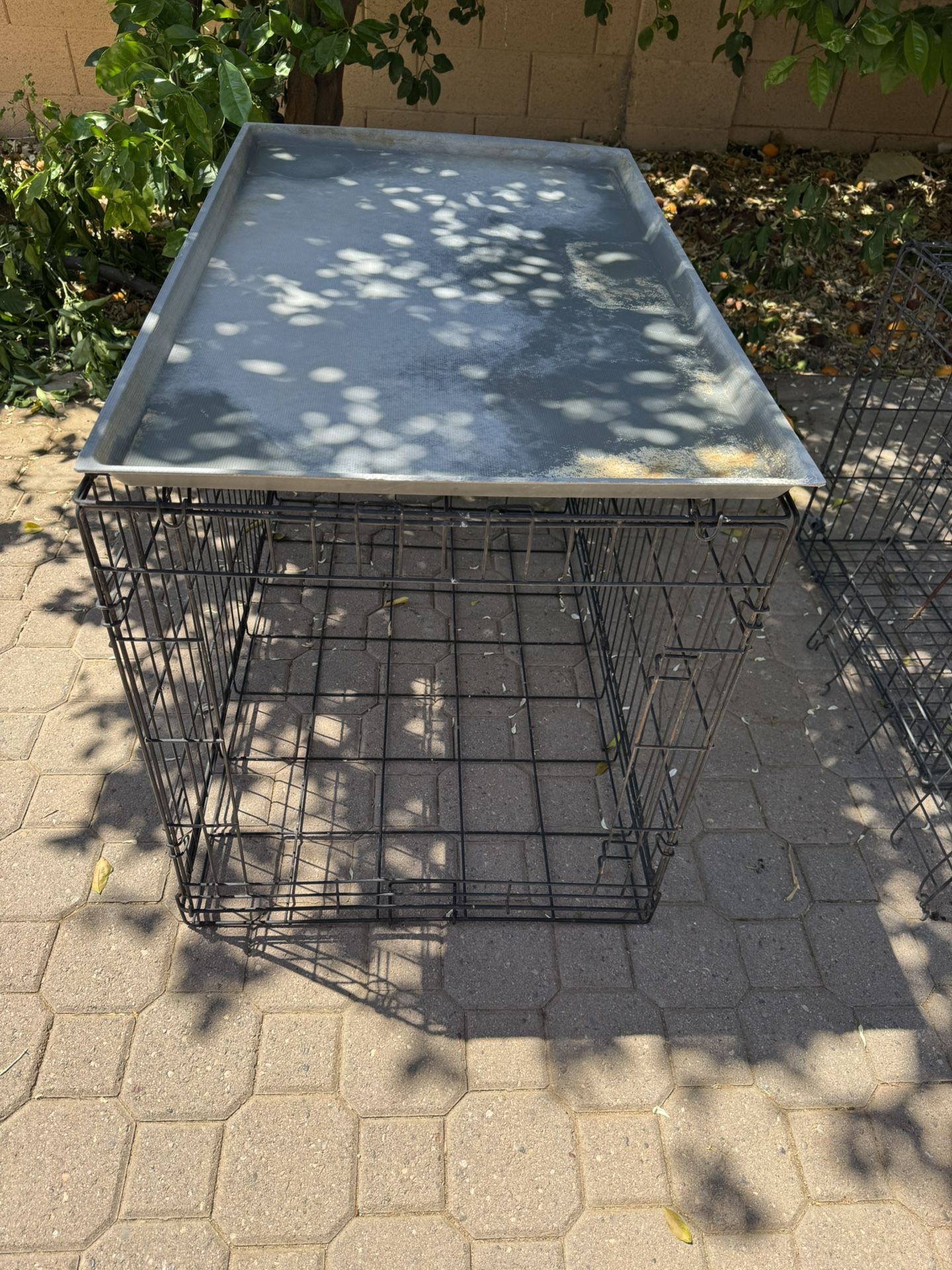 Animal Cages