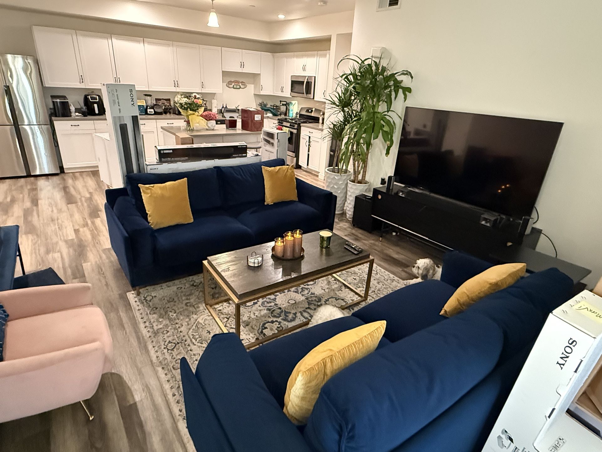Luxury 2-Piece Navy Blue Velvet Sofa/ Furniture Set - Elegant, High-Quality, Ultra-Comfortable & Durable