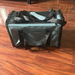 Small Dog Carry On Bag 