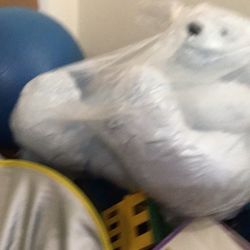 Big Teddy Bear