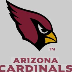 Cardinals VS 49ers
