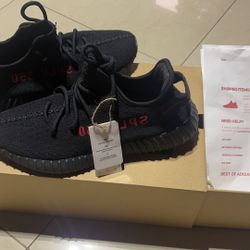 Yeezy 350