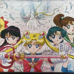 Sailor Moon Backdrop 