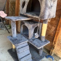 Cat House