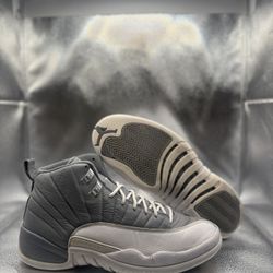 Air Jordan 12 Stealth 