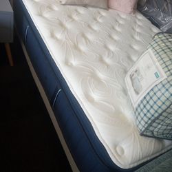Brand new queen or king size pillowtop mattress only