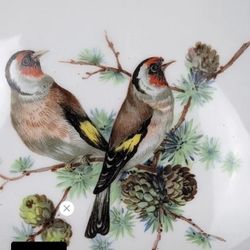 Vintage Schumann Bavaria Arzberg Germany Golden Crown E & R Finch Bird Plate