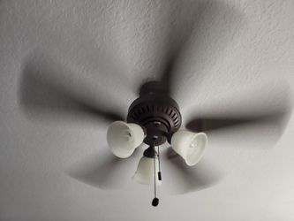 Fan Hampton Bay
