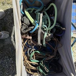 Horse Tack And Handmade Custom Sddle