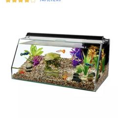 Fish Tank 