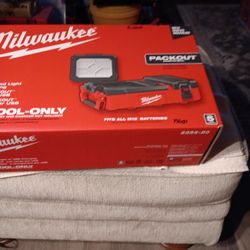 Milwaukee Packout Flood Light 