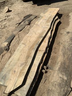 Pine live edge slabs